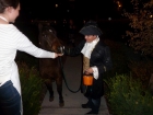 Tess trick-or-treating the horse with a carrot.