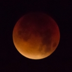 Blood Red Super Moon