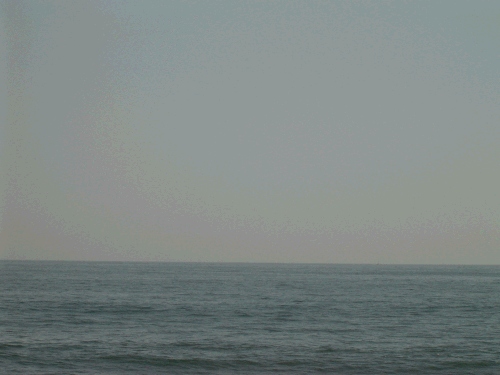 DSC00667.JPG
