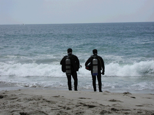 A couple of scuba guys contemplating the water.