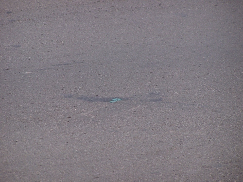 and this is the spot -- it is supposed to be an "X".