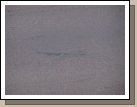 and this is the spot -- it is supposed to be an "X".