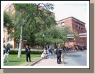 Looking back up the street -- not a good view of the book depository because of the tree -- but it gives you an idea of the building in conjunction with the street.