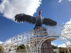 P-day activity...Climb to the top where the bird is and take in an amazing view.