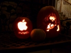 iPumpkin and Cosette