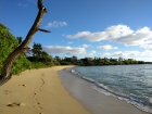 Looking up their own "private" little beach!