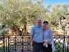 Garden of Gethsemane