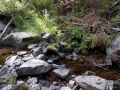 One night before dinner, we did a short hike. There was a super pretty stream. It was very peaceful and pretty.