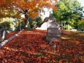 Gotta love a good old cemetery. I loved the carpet of leaves on the ground.