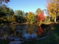Bedford not only has cute white town hall, a cute white library, but now they have a little park with a pond.
