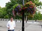 Beautiful flowers on the River Walk in Corvallis.