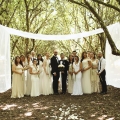 The official wedding party.
