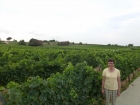 We saw miles of lush green vineyards and never saw a single person working in one!