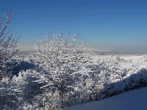 Beautiful new snow across the whole valley...
