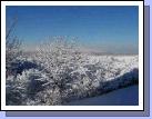 Beautiful new snow across the whole valley...