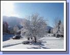The snow covered every single branch and didn't melt all day!