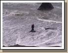 It is out of focus, but Clark and Elliot had run out to stand on the rock, thinking that the tide wouldn't come up past them -- they were surprised to find out how wrong they were!