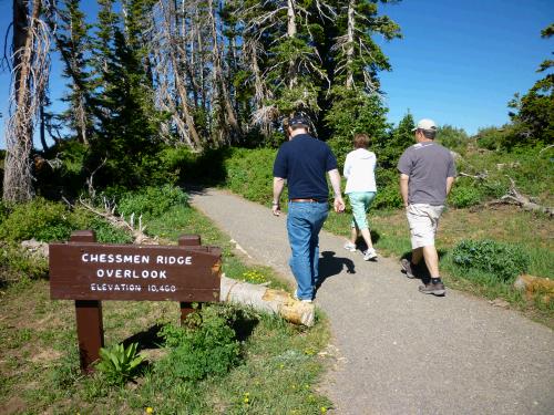 Going to check out the "chessmen"."
