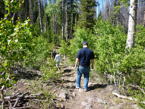 We took a short hike looking for wild flowers.  We happened to be there on the first day of the official wildflower festival, but I think their dates were about a week too early  this season because there weren't really any to see yet.  Nature is so unpredictable!
