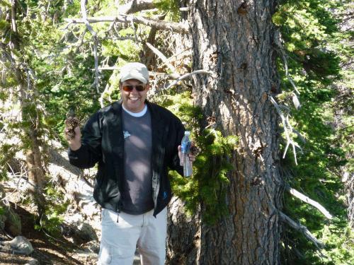 Steve did find some great pinecones from an old bristlecone pine.