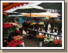 Flowers for sale.