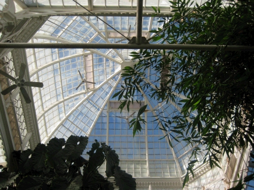 The very cool dome roof of the conservatory.  Occassionally while we were looking around at all the flowers, mist would start spraying everything including us --- kind of like at the grocery store in the produce department!