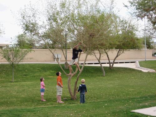 Elliot threw the ball to Clark and it got stuck in the tree.  We threw the racquet up to get the birdie...we threw the cane up to get the racquet...(name that movie!)