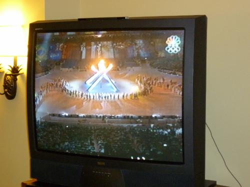 We really enjoyed watching all the Olympics as a family this year!