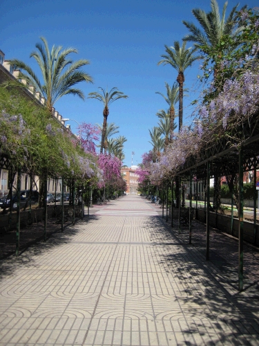 Badajoz in the springtime.