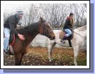 Fun p-day where we got invited over to an investigator's house to ride their horses.  Sister Rouse is on the right.